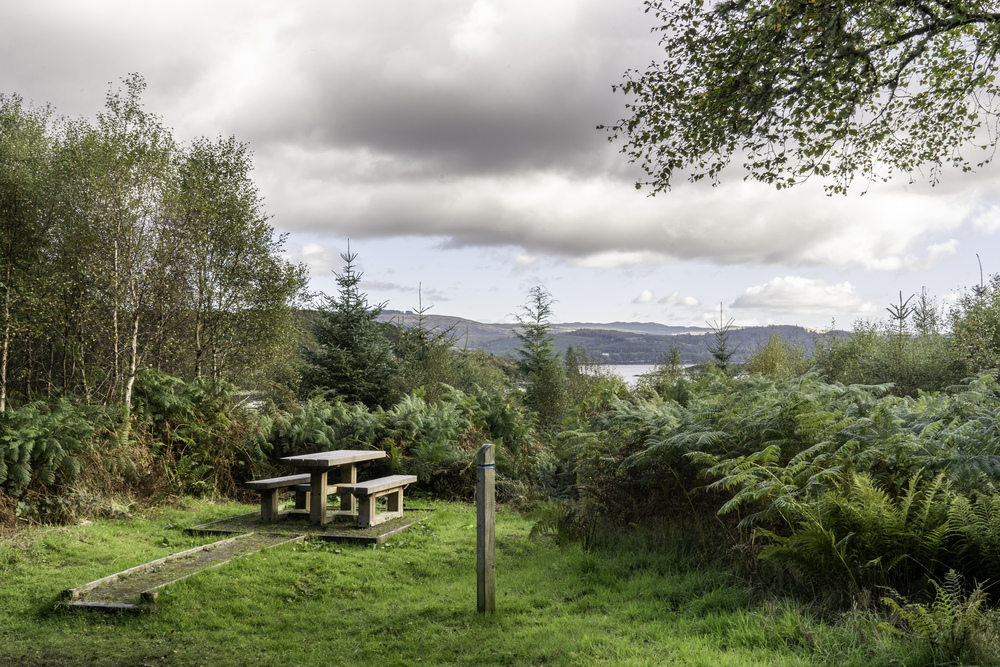 A picnic table on a forested hillside overlooking water with hills in the background