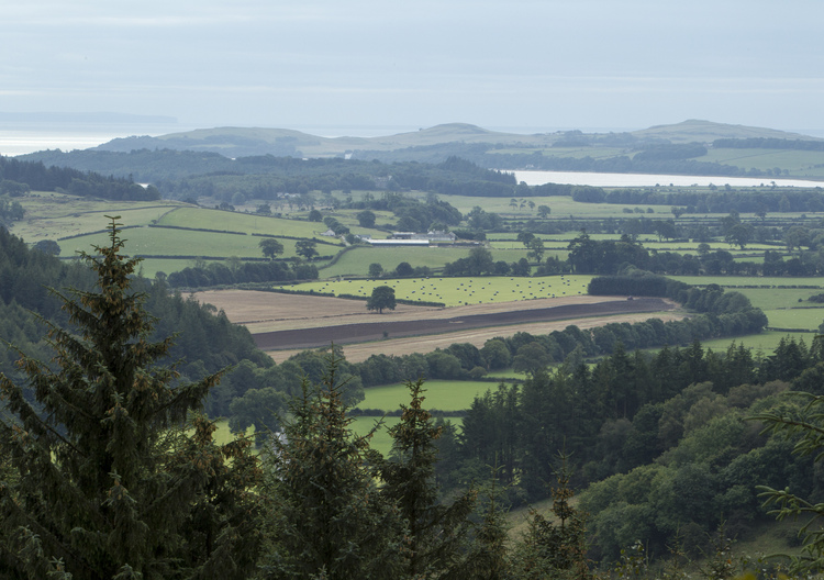 Landscape view from hillside over mixed green fields and small woods under a grey sky.