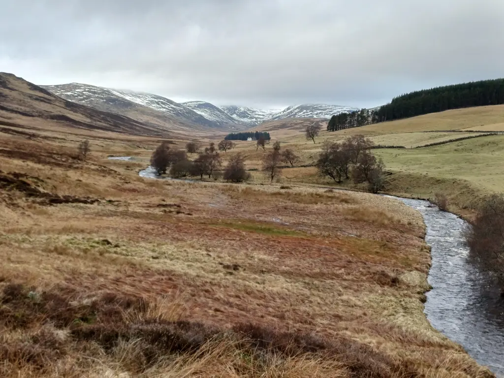 A watercourse runs through a landscape with snow-capped mountains in the distance.