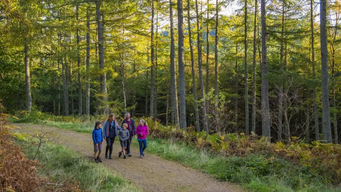 Family walking along a forest path.