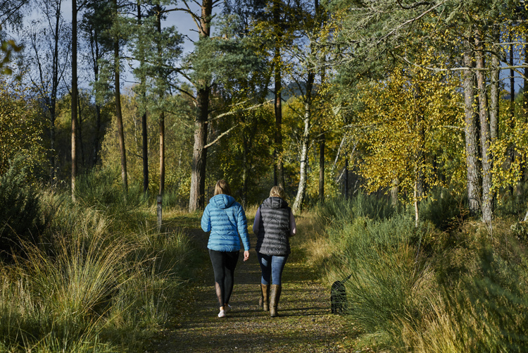 Rear view of woman and teenage girl walking with dog, on woodland trail, Contin Forest, near Strathpeffer