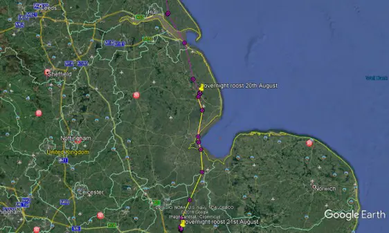 Satellite view of east England with osprey flightpath marked