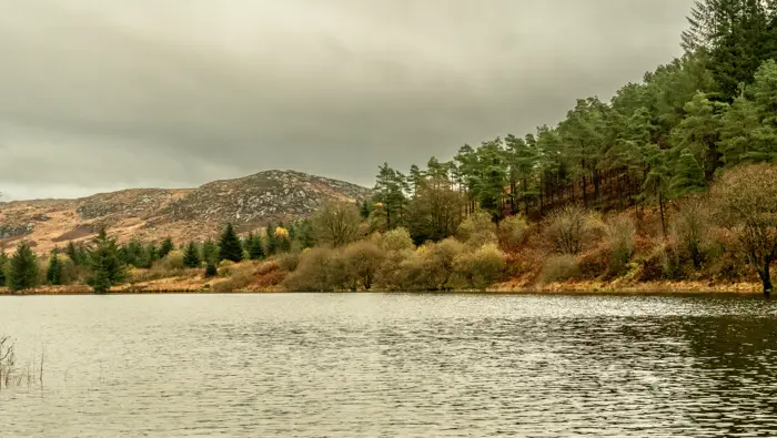 Loch with trees around it.