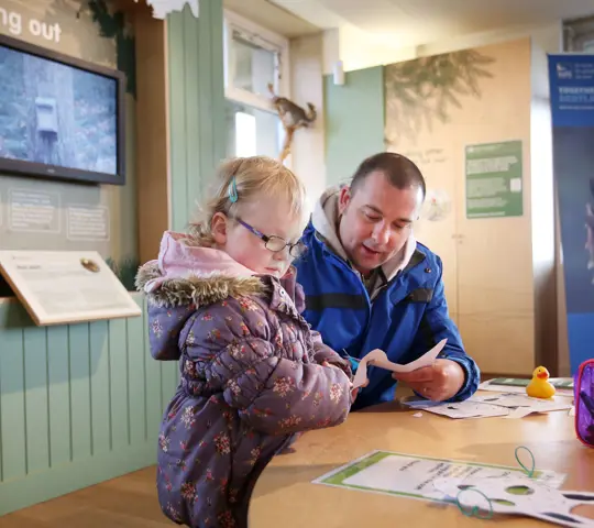 Man and child cutting out paper at Lodge Forest Visitor Centre, Queen Elizabeth Forest Park, Aberfoyle