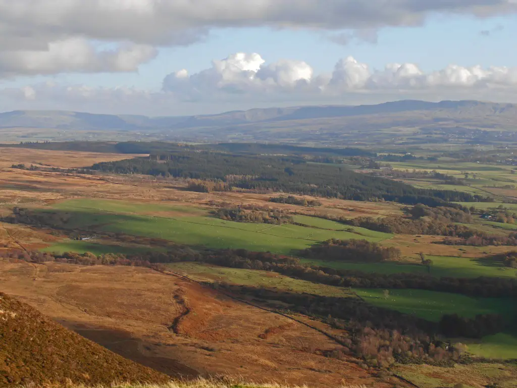 Mixed landscape of forestry and farmland.
