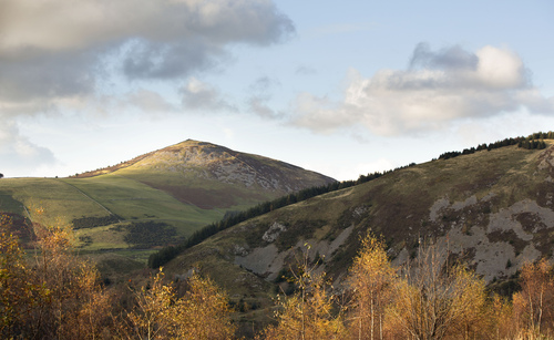 Hills with farmland and trees with broadleaf forest