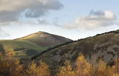 Hills with farmland and trees with broadleaf forest